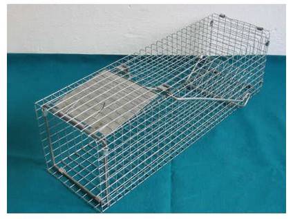 Obrázek k výrobku 72768 - KLEC ODCHYTOVÁ