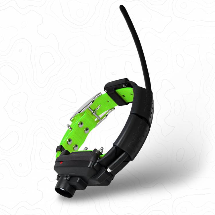 Obrázek k výrobku 75892 - Obojek pro dalšího psa DOG GPS X30TB - Zelená