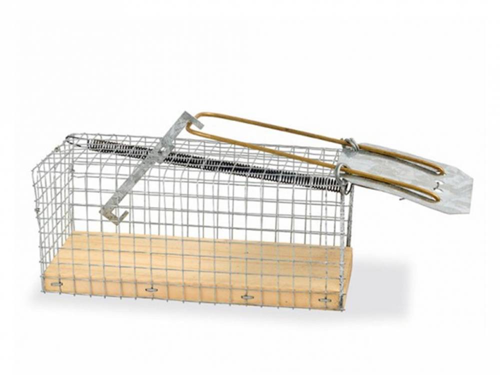 Obrázek k výrobku 81702 - Past na myši a hraboše GAUN 32620 5,5x12x5,5 cm