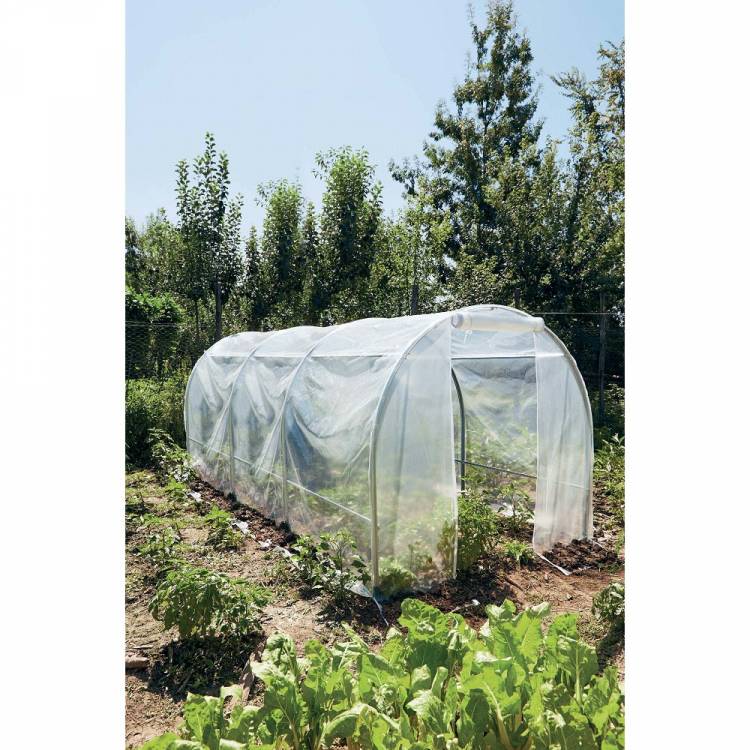 Obrázek k výrobku 69447 - VERDEMAX SPRING MAXI 2598