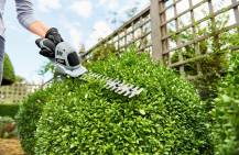 Obrázek k výrobku 78438 - AKU malé ruční nůžky CHT2001E