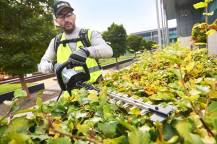 Obrázek k výrobku 78458 - AKU nůžky na živý plot HTX6500 (pouze stroj)