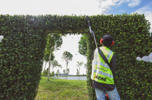 Obrázek k výrobku 81205 - Benzinový plotostřih teleskopický ECHO HCA-2620ES-HD