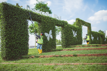 Obrázek k výrobku 81205 - Benzinový plotostřih teleskopický ECHO HCA-2620ES-HD