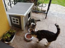 Obrázek k výrobku 81236 - Bouda pro kočky z EKO plastu KERBL ELI 57 x 45 x 43 cm