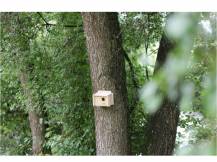 Obrázek k výrobku 81254 - Budka hnízdní pro malé ptactvo KERBL 21 x 13 x 13 cm