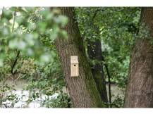 Obrázek k výrobku 81255 - Budka pro sýkorky, sada pro kutily KERBL 36 x 12 x 14 cm