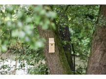 Obrázek k výrobku 81255 - Budka pro sýkorky, sada pro kutily KERBL 36 x 12 x 14 cm