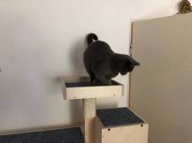 Obrázek k výrobku 54561 - Domek se škrabadlem 3v1 Beky levý Domek se škrabadlem 3v1 Beky levý