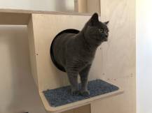 Obrázek k výrobku 54561 - Domek se škrabadlem 3v1 Beky levý Domek se škrabadlem 3v1 Beky levý