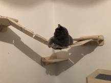 Obrázek k výrobku 54561 - Domek se škrabadlem 3v1 Beky levý Domek se škrabadlem 3v1 Beky levý