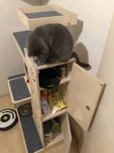 Obrázek k výrobku 54561 - Domek se škrabadlem 3v1 Beky levý Domek se škrabadlem 3v1 Beky levý