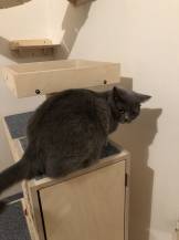 Obrázek k výrobku 54561 - Domek se škrabadlem 3v1 Beky levý Domek se škrabadlem 3v1 Beky levý