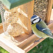 Obrázek k výrobku 93826 - Dřevěné ptačí krmítko se stojanem AGF330