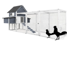 Obrázek k výrobku 95138 - Dřevěný maxi kurník PALERMO DELUXE, 3100x1500x1500 mm