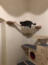 Obrázek k výrobku 54559 - Dřevěný most pro doplnění škrabadla 1 .