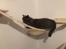 Obrázek k výrobku 54559 - Dřevěný most pro doplnění škrabadla 1 .