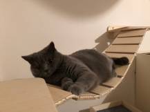 Obrázek k výrobku 54559 - Dřevěný most pro doplnění škrabadla 1 .