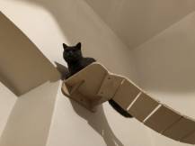 Obrázek k výrobku 54559 - Dřevěný most pro doplnění škrabadla 1 .