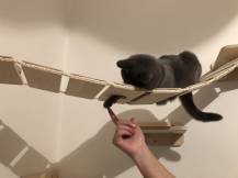 Obrázek k výrobku 54562 - Dřevěný most pro doplnění škrabadla 2 .