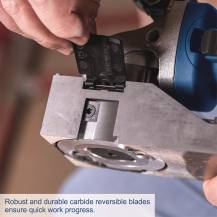 Obrázek k výrobku 91965 - Frézka na laky a odstraňovač nátěrů Scheppach LRF 720