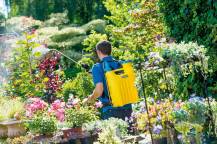 Obrázek k výrobku 77354 - Gloria Hoby 1800 Ergonomický zádový postřikovač