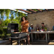 Obrázek k výrobku 91881 - Gril na dřevěné uhlí Riwall PRO RCG 60