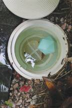 Obrázek k výrobku 71581 - Houbičky čistící AQUAKRYSTAL - sada 2 ks