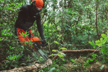 Obrázek k výrobku 81022 - Japonská motorová pila ECHO CS-4510ES