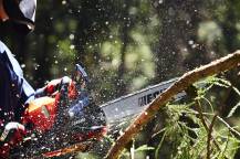 Obrázek k výrobku 81036 - Japonská řetězová pila ECHO CS-4010ES