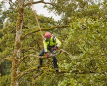 Obrázek k výrobku 82257 - Jednoruční aku řetězová pila CRAMER 82TCS15