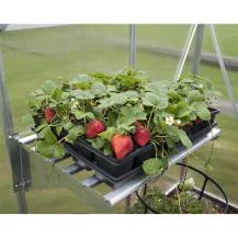 Obrázek k výrobku 78868 - Kovová police do skleníku Palram