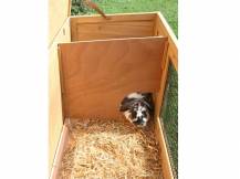 Obrázek k výrobku 81346 - Králíkárna KERBL BUDDY 116x52x82 cm