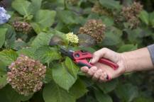 Obrázek k výrobku 37482 - KRTGR1003 - Nůžky zahradnické 205mm přímé