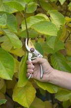 Obrázek k výrobku 37487 - KRTGR1021 - Nůžky zahradnické TITAN 200mm