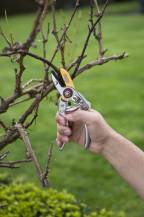 Obrázek k výrobku 37488 - KRTGR1022 - Nůžky zahradnické TITAN 200mm kovadlinkové