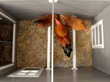 Obrázek k výrobku 78879 - Kurník pro slepice KERBL BARNEY