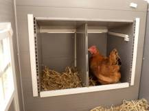 Obrázek k výrobku 78879 - Kurník pro slepice KERBL BARNEY