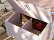 Obrázek k výrobku 78876 - Kurník pro slepice KERBL EMMA