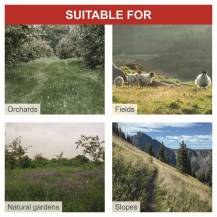 Obrázek k výrobku 82366 - Lištová sekačka na vysokou trávu Scheppach BMS 196-88