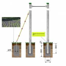 Obrázek k výrobku 47495 - Monkey