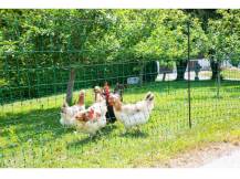 Obrázek k výrobku 81084 - Nevodivá síť pro drůbež KERBL 106 cm x 25 m / 2 hroty