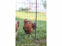 Obrázek k výrobku 81080 - Nevodivá síť pro drůbež KERBL PREMIUM 122 cm x 50 m / 2 hroty