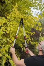 Obrázek k výrobku 16012 - Nůžka na větve AL teleskopické SK5