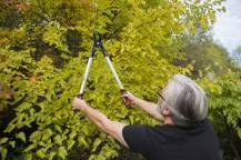 Obrázek k výrobku 16011 - Nůžky na větve AL SK5