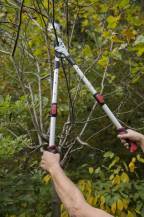 Obrázek k výrobku 16013 - Nůžky na větve AL teleskopické kovadlinkové SK5