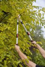 Obrázek k výrobku 16015 - Nůžky na větve AL teleskopické POWER² převodové SK5