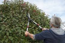 Obrázek k výrobku 16005 - Nůžky na živý plot AL Teleskopické