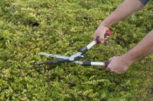 Obrázek k výrobku 16006 - Nůžky na živý plot POWER² převodové