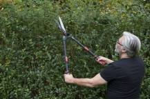 Obrázek k výrobku 16003 - Nůžky na živý plot Teleskopické